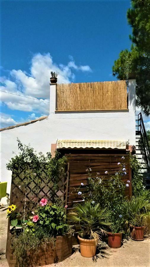La Casita Villa Manacor  Ngoại thất bức ảnh